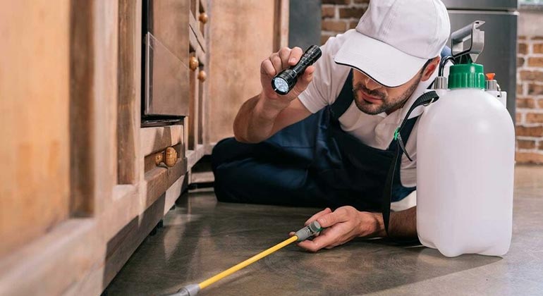 Best packers and movers in Kannur, Kerala, Top Packers and Movers in Kannur, Kerala, Packers and Movers in Kannur, Home Cleaning Services Kannur, Pest Control Kannur, Greenox, Greenox Services, Greenox Kannur