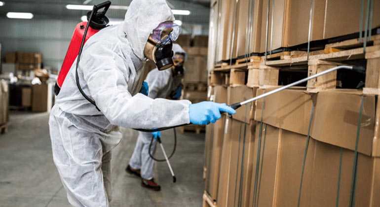 Best packers and movers in Kannur, Kerala, Top Packers and Movers in Kannur, Kerala, Packers and Movers in Kannur, Home Cleaning Services Kannur, Pest Control Kannur, Greenox, Greenox Services, Greenox Kannur