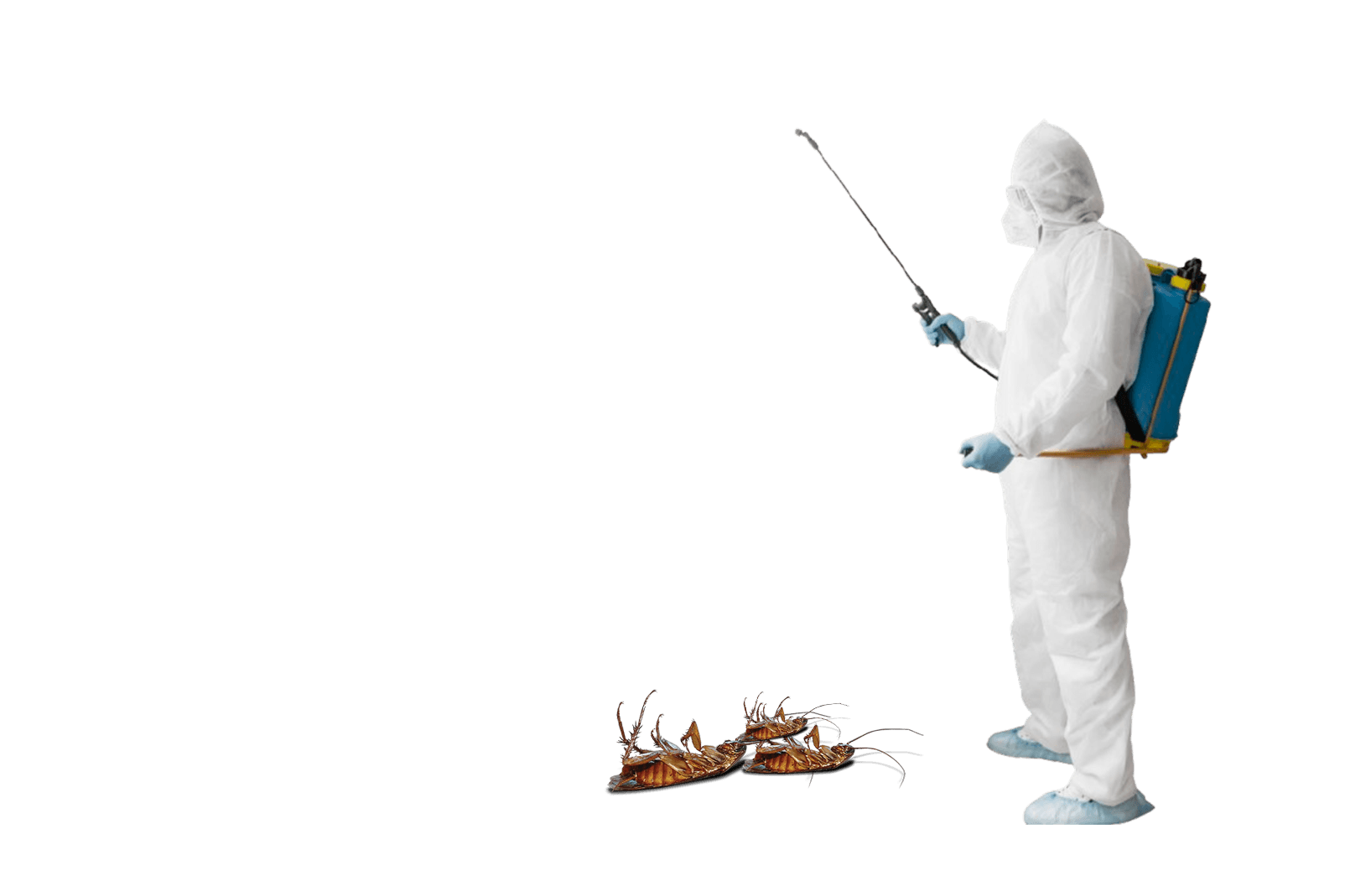 best cleaning services in kannur, best pest control services in taliparamba, best construction services in payyanur, green pest control services, greenox